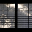 shadows